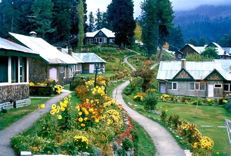 Gulmarg in Summer: A Complete Kashmir Travel Guide