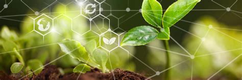 Agro Chemicals & Pesticide Manufacturer in Gujarat