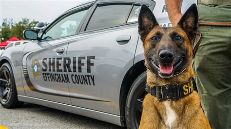 Effingham County Sheriff's Office | Springfield GA