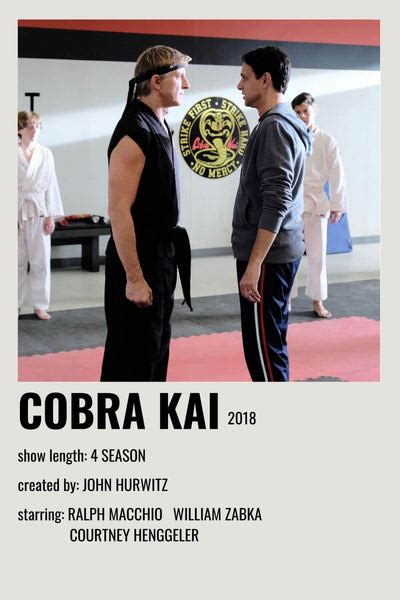 Cobra Kai - The Karate Kid - Netflix TV Show Poster 4 - Posters by TV ...