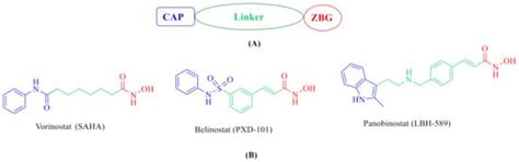 Molecules | Special Issue : Drug Discovery and Molecular Docking II