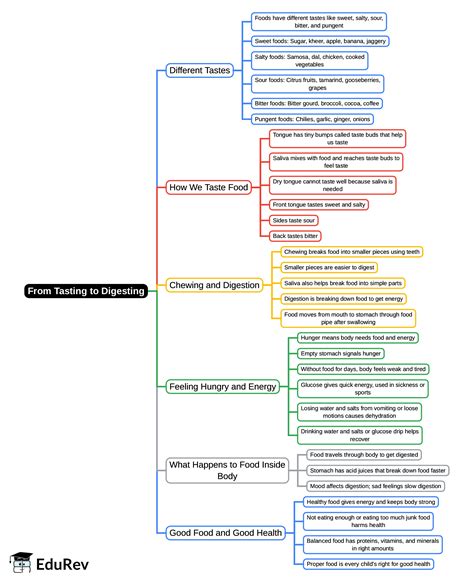 Mind Map: From Tasting to Digesting - Class 5 PDF Download