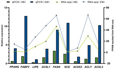 Transcriptomics and Selection Pressure Analysis Reveals the Influence ...