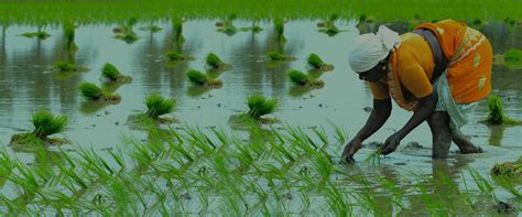 Keshava Prabha Microfin Pvt Ltd