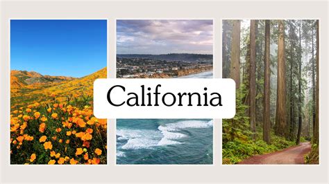 10 Fun Facts About California | 100 Interesting Facts About California ...