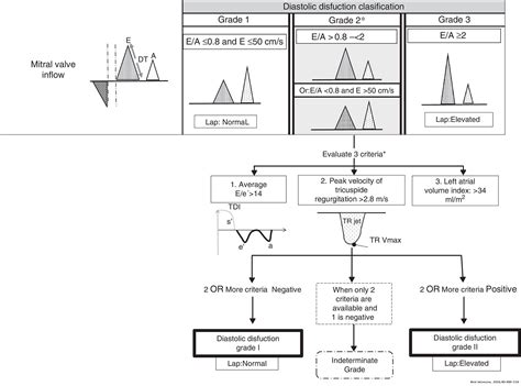Diastolic dysfunction in the critically ill patient | Medicina Intensiva