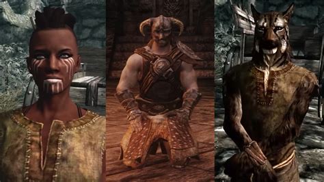 The Best Races In 'Skyrim' for Each Play Style