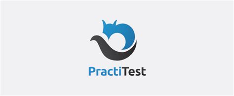 PractiTest Tutorial 的图像结果