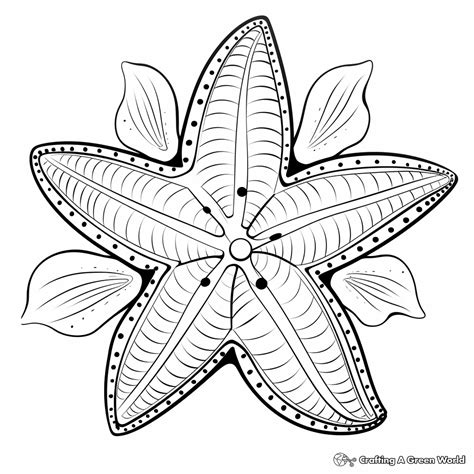 Starfish Coloring Pages - Free & Printable!