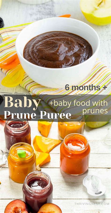 Baby Food With Prunes + Combinations - ThrivingNest