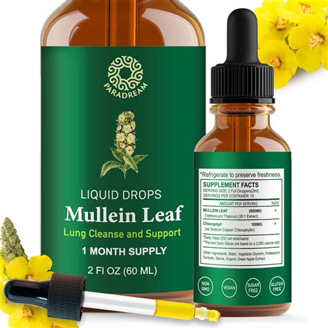 Amazon.com: Betterbrand BetterLungs Mullein Leaf Extract - Support Lung Cleanse & Respiratory ...