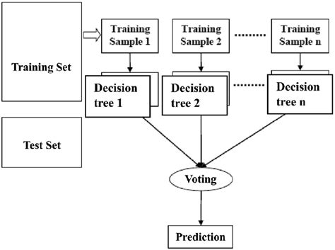 Image result for How to Use Random Forest Classifier in Python