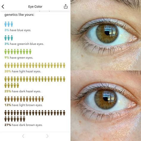 Green Eyes Vs Hazel Eyes