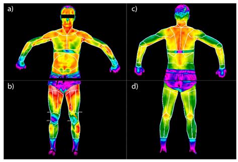 Thermovision as a Tool for Athletes to Verify the Symmetry of Work of ...