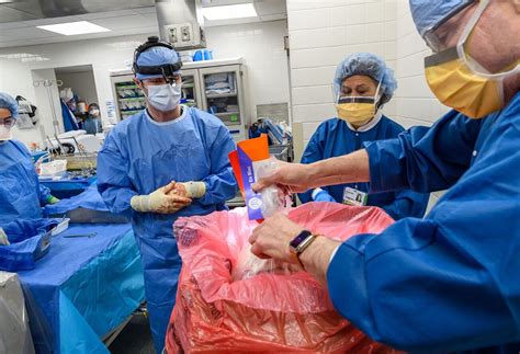 Programa de trasplantes, expansión | Northwell Health