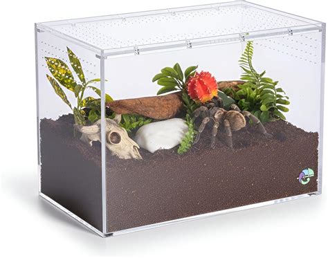 EctoTherm Terrestrial Terrarium - Tarantula India | Ubuy