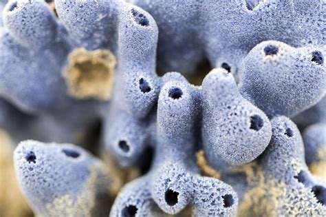 Spicules: What We Know for Sure About This Skincare Trend - OnSkin