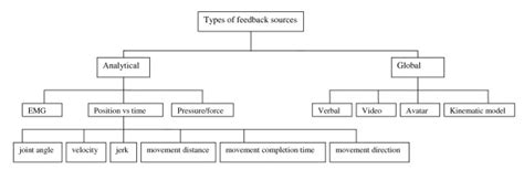 Augmented Feedback Types 的图像结果