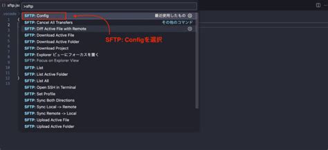 Image result for vs Code SFTP Build