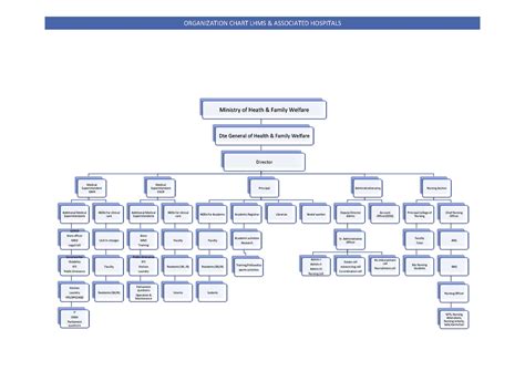 Organisation Structure :: Lady Hardinge Medical College & associated ...