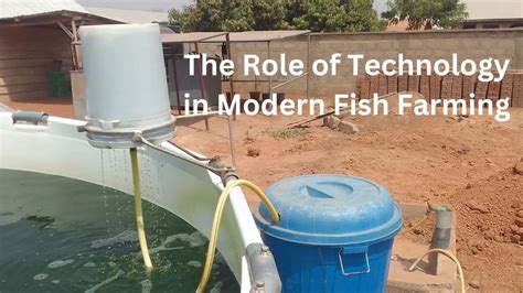 Fish Farming Methods 的图像结果