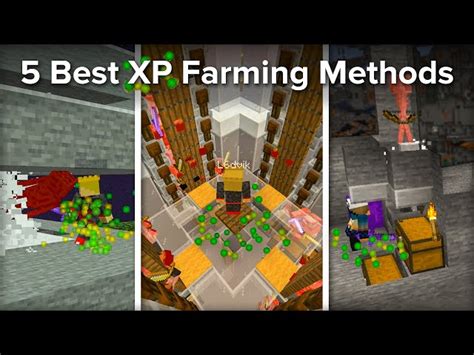 Image result for XP Farm MC Java