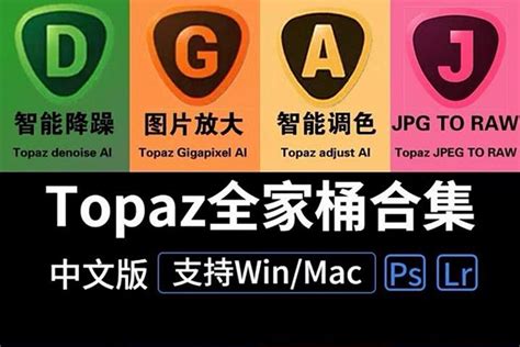 TOPAZ系列软件_TOPAZ全家桶中文合集