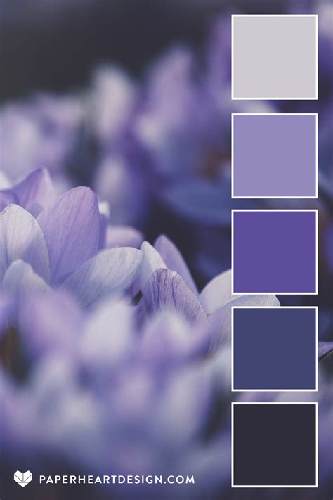 Purple And Gray Color Palette