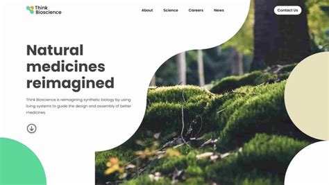 Image result for Natural Website Tutorial