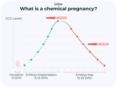 Chemical Pregnancy: Quick Guide & Need to Knows - Inito