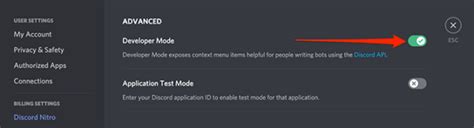 Image result for How to Use Developer Discord