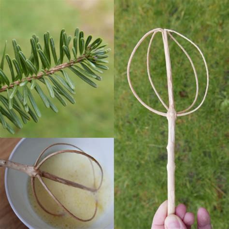 9 Pine tree activity ideas and fun facts | Christmas tree branches, Fir tree, Pine cone ...