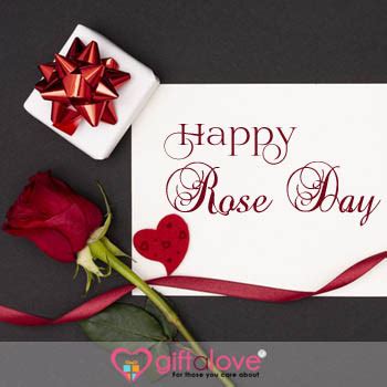 200+ Happy Rose day quotes | Best Rose Day messages, wishes and Greetings