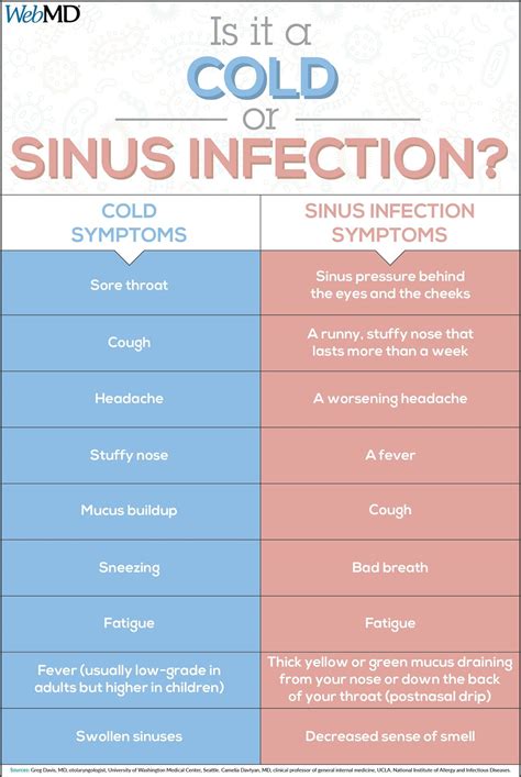 Cold vs sinus infection | Sinus infection, Sinus infection symptoms ...