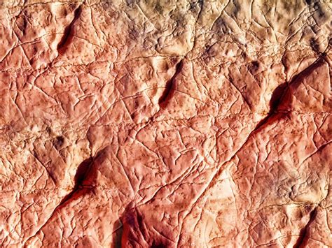 Earth Texture Normal 的图像结果