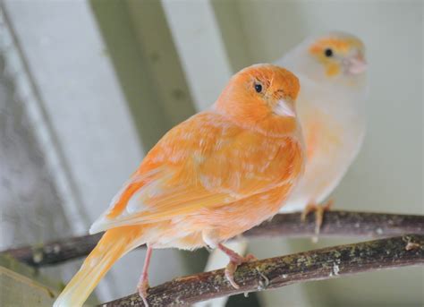 The Martha Stewart Blog : Blog Archive A Visit with My Beautiful ...