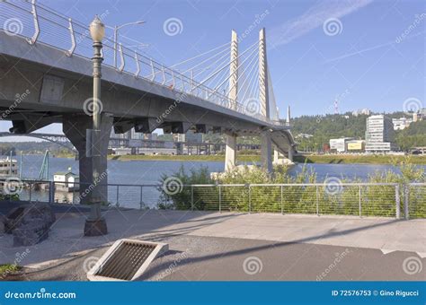 Tilikum Crossing Bridge Portland Oregon. Stock Image - Image of river ...