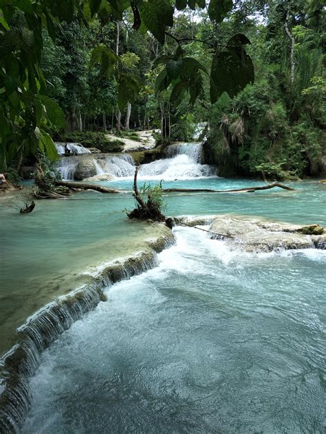 Les chutes de Kuang Si - Routes du Laos