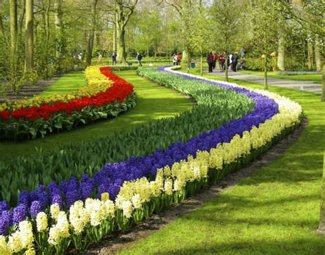 Keukenhof in Netherlands | TimesTravel