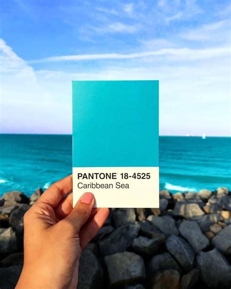 #Pantone 18-4525 Caribbean Sea 🌊 💙 #Colors #pantoneproject Caribbean Sea, Pantone, 18th ...
