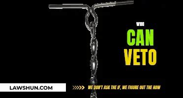 Veto 的图像结果