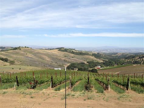 Travel to Paso Robles Wineries: What's all the Hype About