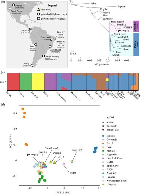 Human Migration Map 的图像结果