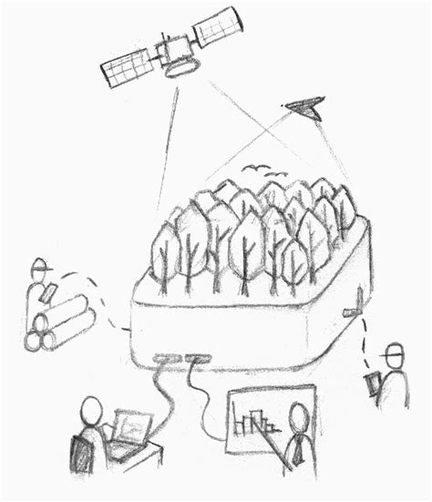 Information Drawing 的图像结果