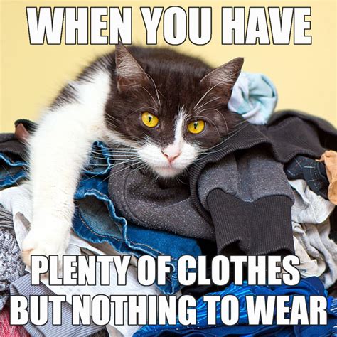 Hilarious Memes About Life