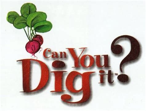 A Step by Step Gardening Guide for the Curious Small Gardener ...