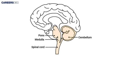 Image result for Data Structures and Algorithms Computer Science