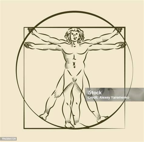 Image result for Basic Structure of HTML Page