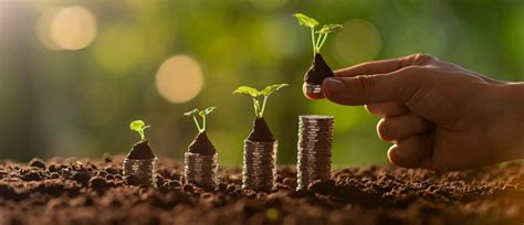 Difference Between Cumulative and Non-Cumulative FD Explained