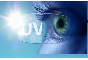 Essilor International : crée une nouvelle fonction au sein du Comité ...